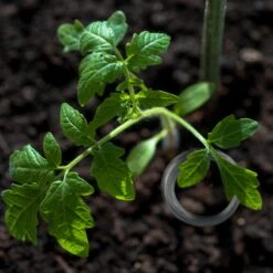 12x Bindedraht In Silber -Gartenmöbel Angebote relaxdays 12x bindedraht in silber 4