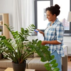 Gartenmöbel Angebote -Gartenmöbel Angebote relaxdays 24x spruhflasche in weiss grun 1